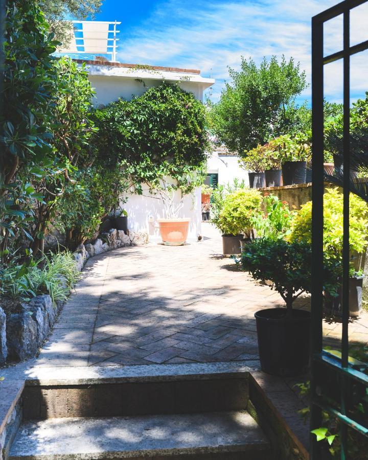 Parco Augusto Bed and Breakfast Capri Exteriör bild